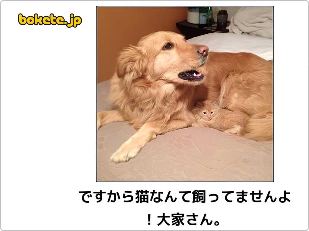 暇つぶしができる面白いサイトの「ボケて」の紹介画像のその１です。