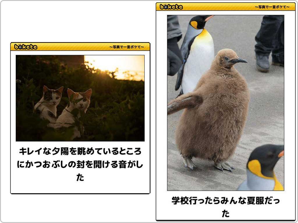 暇つぶしができる面白いサイトの「ボケて」の紹介画像のその２です。